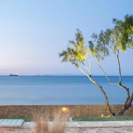 Seafront Wooden House Vounaraki 4 *